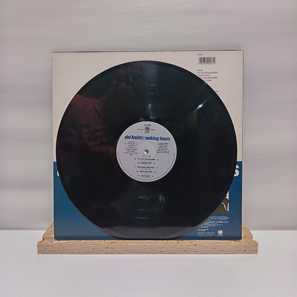Del Amitri waking hours vinyl record EX/VG+ AMA 9006