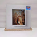 Arcade Fire her vinyl record VG+/VG+ 19439832641