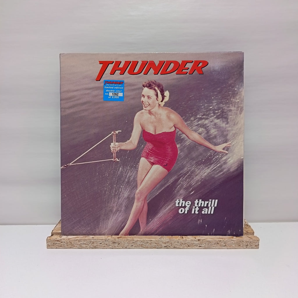 Thunder the thrill of it all double vinyl record VG+/VG+ RAW LP 115