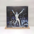 David Bowie ziggy's last stand double vinyl record