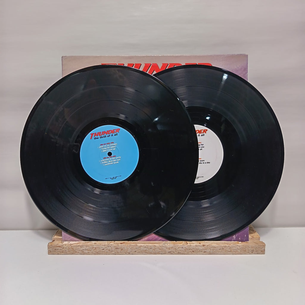 Thunder the thrill of it all double vinyl record VG+/VG+ RAW LP 115