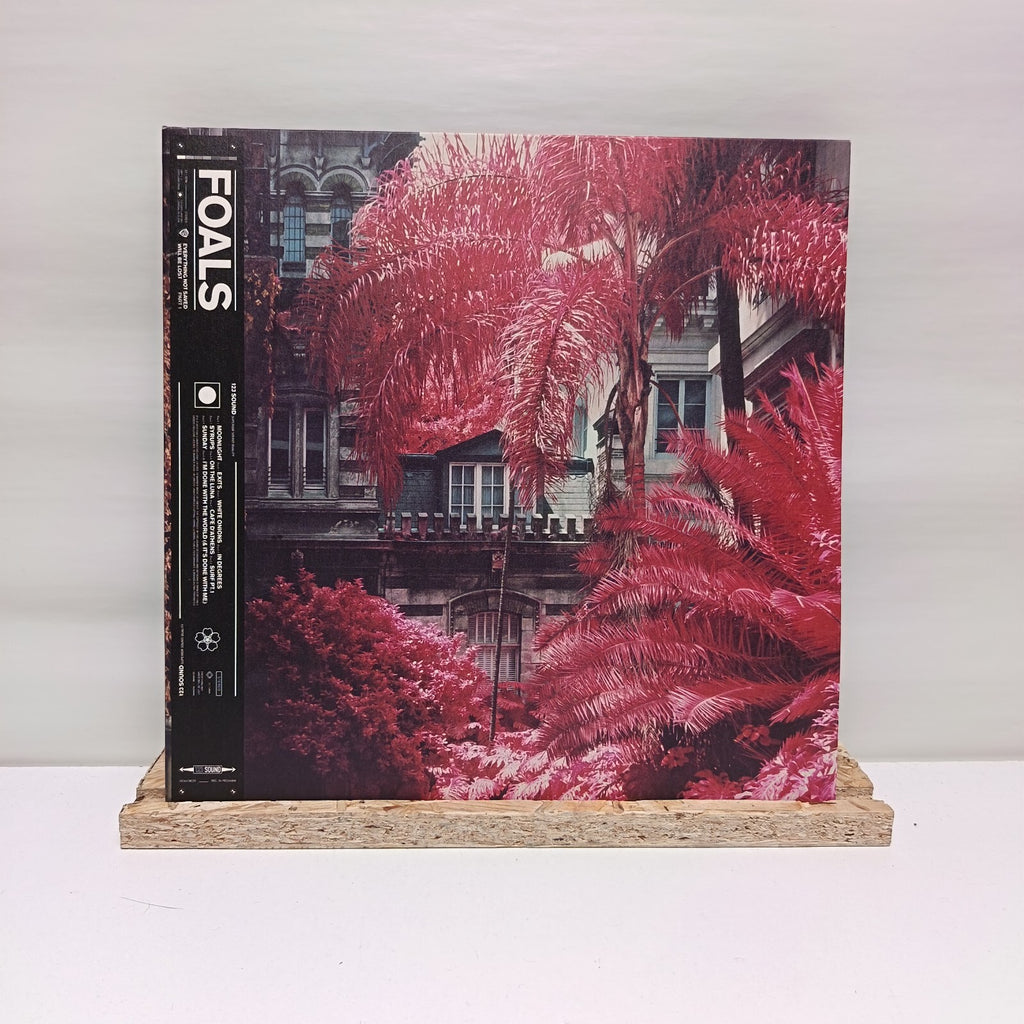 Foals everything not saved will be lost part 1 vinyl record EX/EX 0190295500924