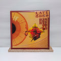 Kate Bush the kick inside vinyl record VG+/VG+ EMC 3223