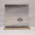 Genesis wind & wuthering vinyl record VG+/VG+ CDS 4005