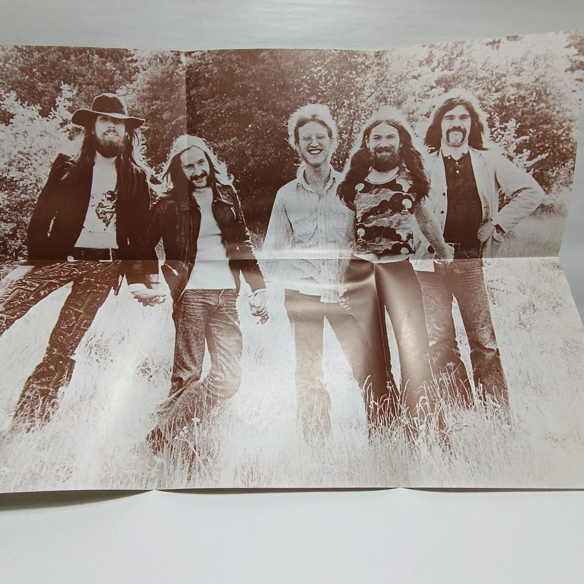Lindisfarne dingly dell vinyl record 1972 VG+/VG+ CAS 1057