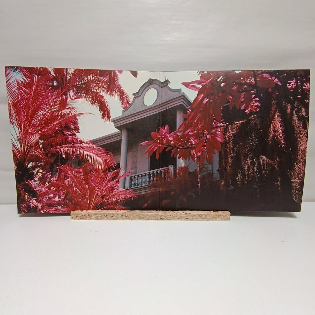 Foals everything not saved will be lost part 1 vinyl record EX/EX 0190295500924