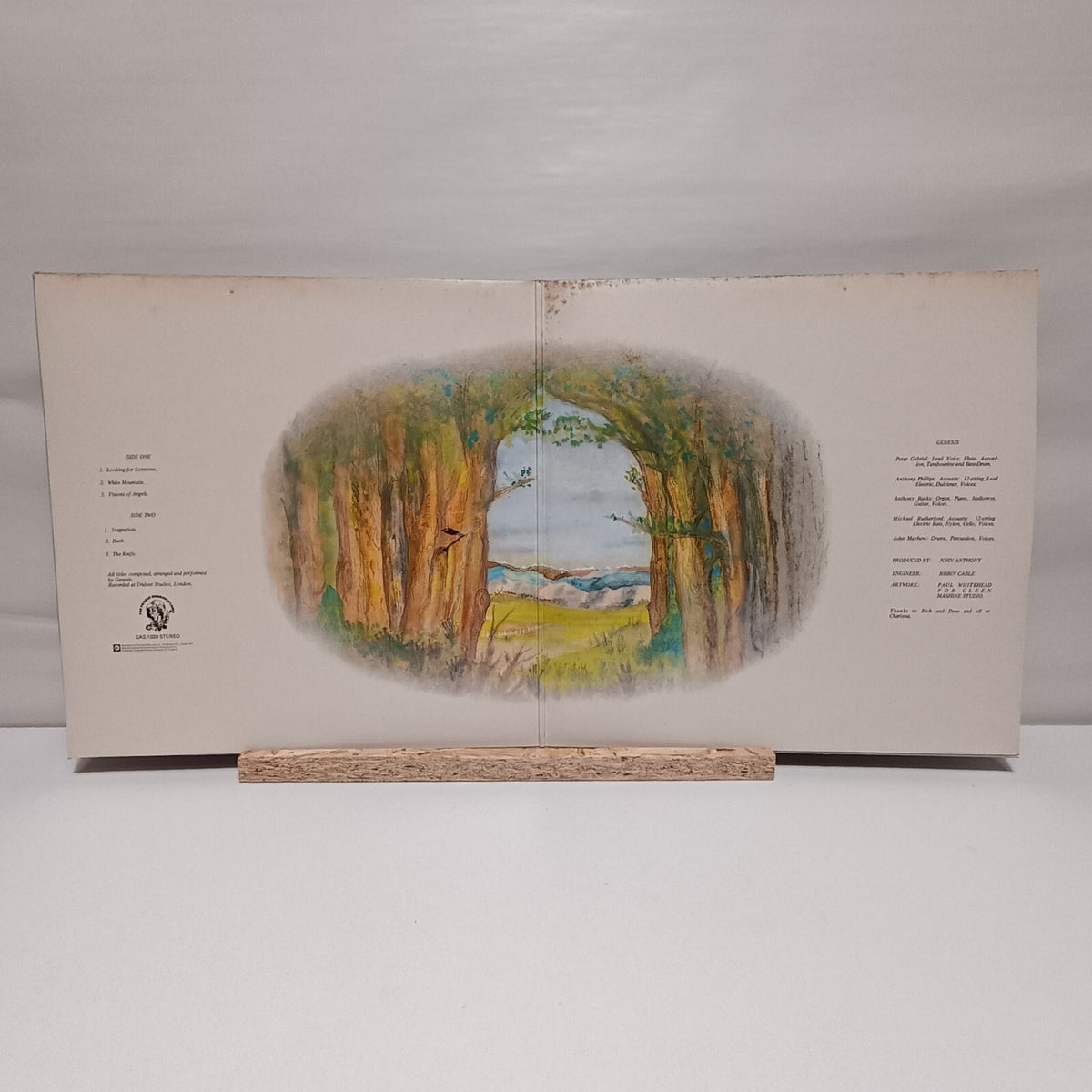 Genesis trespass vinyl record VG+/VG+ CAS 1020