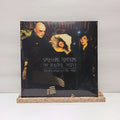 The Smashing Pumpkins the beautiful people double vinyl record